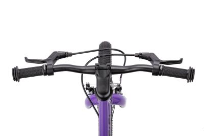 NALOO Chameleon 16", Mk2.1, SingleSpeed, Purple Produktbild 1
