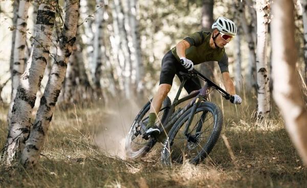 Kategorie MTB-Hardtail