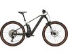 BULLS SONIC AM-SX 1 UD Carbon - light grey 29 Zoll L